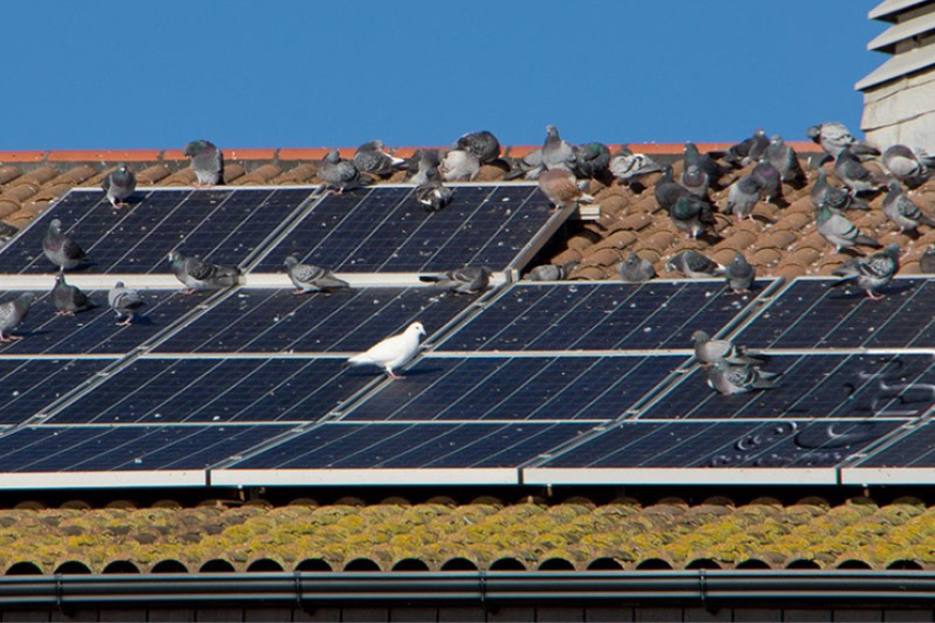 How to Protect Solar Panels from Hail